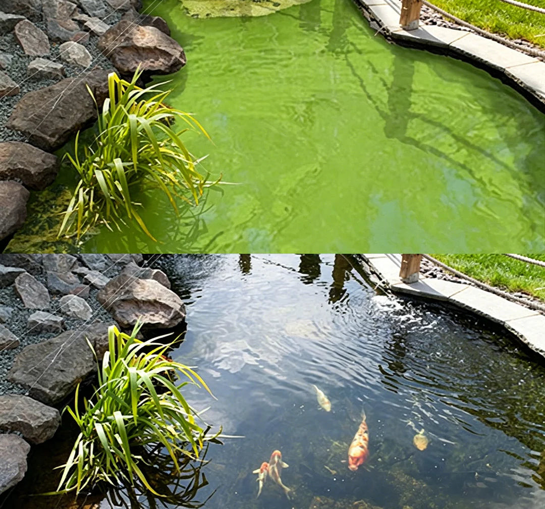 Aqua-Sentra Pro Formula
